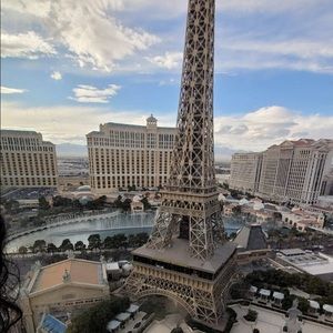 Meet your Posher, Bridget